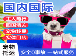 鞍山机场快运国际宠物托运 【国